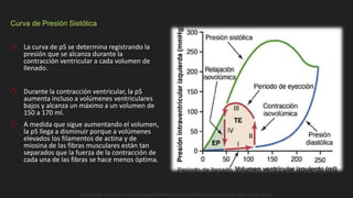 Curva de Presión Sistólica
 La curva de pS se determina registrando la
presión que se alcanza durante la
contracción ventricular a cada volumen de
llenado.
 Durante la contracción ventricular, la pS
aumenta incluso a volúmenes ventriculares
bajos y alcanza un máximo a un volumen de
150 a 170 ml.
 A medida que sigue aumentando el volumen,
la pS llega a disminuir porque a volúmenes
elevados los filamentos de actina y de
miosina de las fibras musculares están tan
separados que la fuerza de la contracción de
cada una de las fibras se hace menos óptima.
Guyton y Hall. El Corazón. Tratado de Fisiología Médica, Decimo Tercera Edición. Elsevier. España. 2016. (versión digital).
 