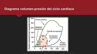 Diagrama volumen-presión del ciclo cardiaco
Guyton y Hall. El Corazón. Tratado de Fisiología Médica, Decimo Tercera Edición. Elsevier. España. 2016. (versión digital).
 
