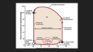 Guyton y Hall. El Corazón. Tratado de Fisiología Médica, Decimo Tercera Edición. Elsevier. España. 2016. (versión digital).
 