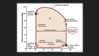 Guyton y Hall. El Corazón. Tratado de Fisiología Médica, Decimo Tercera Edición. Elsevier. España. 2016. (versión digital).
 