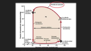 Guyton y Hall. El Corazón. Tratado de Fisiología Médica, Decimo Tercera Edición. Elsevier. España. 2016. (versión digital).
 