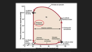 Guyton y Hall. El Corazón. Tratado de Fisiología Médica, Decimo Tercera Edición. Elsevier. España. 2016. (versión digital).
 