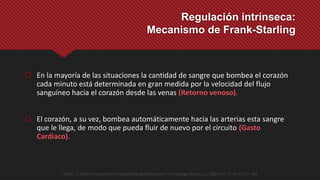 Regulación intrínseca:
Mecanismo de Frank-Starling
 En la mayoría de las situaciones la cantidad de sangre que bombea el corazón
cada minuto está determinada en gran medida por la velocidad del flujo
sanguíneo hacia el corazón desde las venas (Retorno venoso).
 El corazón, a su vez, bombea automáticamente hacia las arterias esta sangre
que le llega, de modo que pueda fluir de nuevo por el circuito (Gasto
Cardiaco).
Heinz, H. Who Discovered the Frank-Starling Mechanism?. Physiology October 1, 2002 vol. 17 no. 5 181-184
 