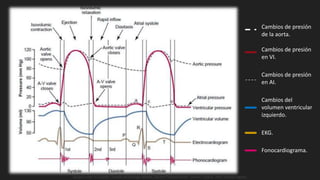 Cambios de presión
de la aorta.
Cambios de presión
en VI.
Cambios de presión
en AI.
Cambios del
volumen ventricular
izquierdo.
EKG.
Fonocardiograma.
Guyton y Hall. El Corazón. Tratado de Fisiología Médica, Decimo Tercera Edición. Elsevier. España. 2016. (versión digital).
 