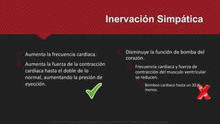 Inervación Simpática
 Aumenta la frecuencia cardíaca.
 Aumenta la fuerza de la contracción
cardíaca hasta el doble de lo
normal, aumentando la presión de
eyección.
 Disminuye la función de bomba del
corazón.
 Frecuencia cardiaca y fuerza de
contracción del musculo ventricular
se reducen.
 Bombeo cardiaco hasta un 30 %
menos.
Guyton y Hall. El Corazón. Tratado de Fisiología Médica, Decimo Tercera Edición. Elsevier. España. 2016. (versión digital).
 