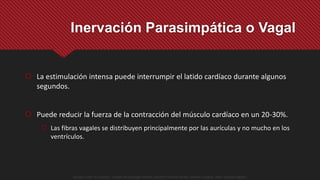  La estimulación intensa puede interrumpir el latido cardíaco durante algunos
segundos.
 Puede reducir la fuerza de la contracción del músculo cardíaco en un 20-30%.
 Las fibras vagales se distribuyen principalmente por las aurículas y no mucho en los
ventrículos.
Inervación Parasimpática o Vagal
Guyton y Hall. El Corazón. Tratado de Fisiología Médica, Decimo Tercera Edición. Elsevier. España. 2016. (versión digital).
 