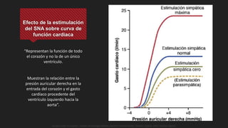 Efecto de la estimulación
del SNA sobre curva de
función cardiaca
“Representan la función de todo
el corazón y no la de un único
ventrículo.
Muestran la relación entre la
presión auricular derecha en la
entrada del corazón y el gasto
cardíaco procedente del
ventrículo izquierdo hacia la
aorta”.
Guyton y Hall. El Corazón. Tratado de Fisiología Médica, Decimo Tercera Edición. Elsevier. España. 2016. (versión digital).
 