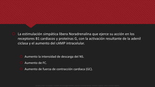  La estimulación simpática libera Noradrenalina que ejerce su acción en los
receptores B1 cardiacos y proteínas G, con la activación resultante de la adenil
ciclasa y el aumento del cAMP intracelular.
 Aumento la intensidad de descarga del NS.
 Aumento de FC.
 Aumento de fuerza de contracción cardiaca (GC).
Guyton y Hall. El Corazón. Tratado de Fisiología Médica, Decimo Tercera Edición. Elsevier. España. 2016. (versión digital).
 