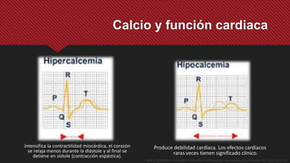 Intensifica la contractilidad miocárdica, el corazón
se relaja menos durante la diástole y al final se
detiene en sístole (contracción espástica).
Calcio y función cardiaca
Produce debilidad cardíaca. Los efectos cardíacos
raras veces tienen significado clínico.
Opie, L. Mechanisms of Cardiac Contraction and Relaxation. Braunwlad´s Heart Disease. 9th . 2012. 473-501
 