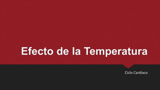 Efecto de la Temperatura
Ciclo Cardiaco
 