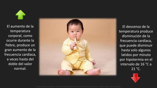 El aumento de la
temperatura
corporal, como
ocurre durante la
fiebre, produce un
gran aumento de la
frecuencia cardíaca,
a veces hasta del
doble del valor
normal.
El descenso de la
temperatura produce
disminución de la
frecuencia cardíaca,
que puede disminuir
hasta solo algunos
latidos por minuto
por hipotermia en el
intervalo de 16 °C a
21 °C.
Guyton y Hall. El Corazón. Tratado de Fisiología Médica, Decimo Tercera Edición. Elsevier. España. 2016. (versión digital).
 