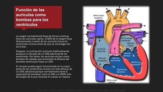 Función de las
aurículas como
bombas para los
ventrículos
La sangre normalmente fluye de forma continua
hacia las aurículas; aprox. el 80% de la sangre fluye
directamente a través de las aurículas hacia los
ventrículos incluso antes de que se contraigan las
aurículas.
Después, la contracción auricular habitualmente
produce un llenado de un 20% adicional de los
ventrículos. Por tanto, las aurículas actúan como
bombas de cebado que aumentan la eficacia del
bombeo ventricular hasta un 20%.
El corazón puede seguir funcionando en la mayor
parte de las condiciones incluso sin esta eficacia de
un 20% adicional porque normalmente tiene la
capacidad de bombear entre el 300 y el 400% más
de sangre de la que necesita el cuerpo en reposo.
Guyton y Hall. El Corazón. Tratado de Fisiología Médica, Decimo Tercera Edición. Elsevier. España. 2016. (versión digital).
 