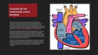 Función de los
ventrículos como
bombas
Tan pronto como ha finalizado la sístole y las presiones
ventriculares disminuyen a sus valores diastólicos bajos, el
aumento moderado de presión que se ha generado en las
aurículas durante la sístole ventricular inmediatamente abre las
válvulas AV y permite que la sangre fluya rápidamente hacia los
ventrículos, período de llenado rápido de los ventrículos.
El período de llenado rápido dura aproximadamente el primer
tercio de la diástole. Durante el tercio medio de la diástole
normalmente solo fluye una pequeña cantidad de sangre hacia
los ventrículos; esta es la sangre que continúa drenando hacia
las aurículas desde las venas y que pasa a través de las aurículas
directamente hacia los ventrículos.
Durante el último tercio de la diástole las aurículas se contraen
y aportan un impulso adicional al flujo de entrada de sangre
hacia los ventrículos. Este mecanismo es responsable de aprox.
el 20% del llenado de los ventrículos durante cada ciclo
cardíaco.
Guyton y Hall. El Corazón. Tratado de Fisiología Médica, Decimo Tercera Edición. Elsevier. España. 2016. (versión digital).
 