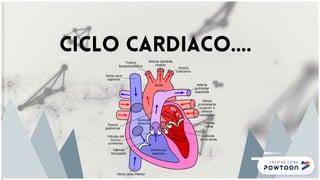 Ciclo cardiaco