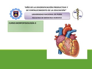 CURSO:MORFOFISIOLOGÍA II
 