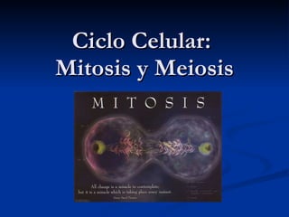 Ciclo Celular:  Mitosis y Meiosis 