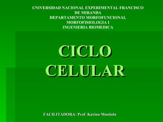 CICLO CELULAR FACILITADORA: Prof. Karina Mustiola UNIVERSIDAD NACIONAL EXPERIMENTAL FRANCISCO DE MIRANDA DEPARTAMENTO MORFOFUNCIONAL MORFOFISIOLOGIA I INGENIERIA BIOMEDICA 