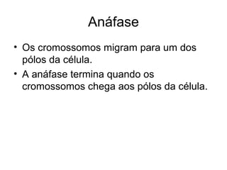 Anáfase
• Os cromossomos migram para um dos
pólos da célula.
• A anáfase termina quando os
cromossomos chega aos pólos da célula.
 