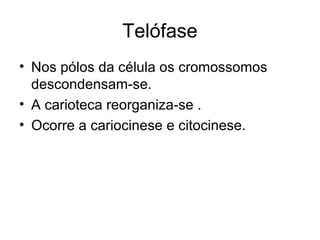 Telófase
• Nos pólos da célula os cromossomos
descondensam-se.
• A carioteca reorganiza-se .
• Ocorre a cariocinese e citocinese.
 