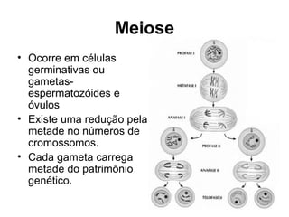 Meiose
• Ocorre em células
germinativas ou
gametas-
espermatozóides e
óvulos
• Existe uma redução pela
metade no números de
cromossomos.
• Cada gameta carrega
metade do patrimônio
genético.
 