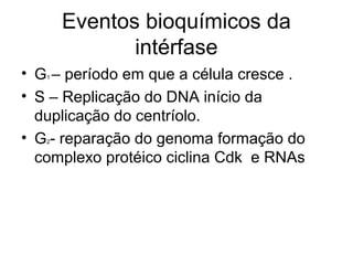 Eventos bioquímicos da
intérfase
• G1 – período em que a célula cresce .
• S – Replicação do DNA início da
duplicação do centríolo.
• G2- reparação do genoma formação do
complexo protéico ciclina Cdk e RNAs
 