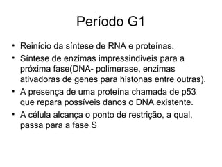 Período G1
• Reinício da síntese de RNA e proteínas.
• Síntese de enzimas impressindiveis para a
próxima fase(DNA- polimerase, enzimas
ativadoras de genes para histonas entre outras).
• A presença de uma proteína chamada de p53
que repara possíveis danos o DNA existente.
• A célula alcança o ponto de restrição, a qual,
passa para a fase S
 