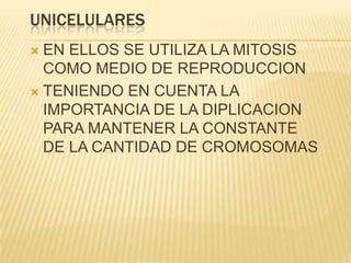UNICELULARES EN ELLOS SE UTILIZA LA MITOSIS COMO MEDIO DE REPRODUCCION TENIENDO EN CUENTA LA IMPORTANCIA DE LA DIPLICACION PARA MANTENER LA CONSTANTE DE LA CANTIDAD DE CROMOSOMAS