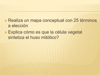 Realiza un mapa conceptual con 25 términos a elecciónExplica cómo es que la célula vegetal sintetiza el huso mitótico?