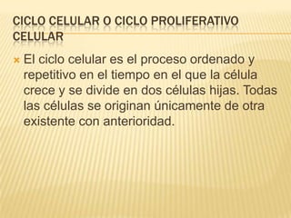 CICLO CELULAR O CICLO PROLIFERATIVO CELULAREl ciclo celular es el proceso ordenado y repetitivo en el tiempo en el que la célula crece y se divide en dos células hijas. Todas las células se originan únicamente de otra existente con anterioridad.