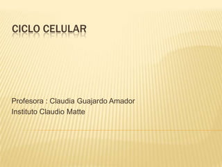 Ciclo celular Profesora : Claudia Guajardo Amador  Instituto Claudio Matte  