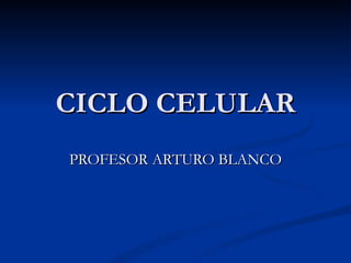 CICLO CELULAR PROFESOR ARTURO BLANCO 
