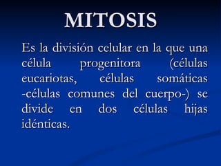 MITOSIS Es la división celular en la que una célula progenitora (células eucariotas, células somáticas -células comunes del cuerpo-) se divide en dos células hijas idénticas.  