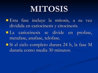 MITOSIS Esta fase incluye la mitosis, a su vez dividida en cariocinesis y citocinesis. La cariocinesis se divide en profase, metafase, anafase, telofase. Si el ciclo completo durara 24 h, la fase M duraria como media 30 minutos. 