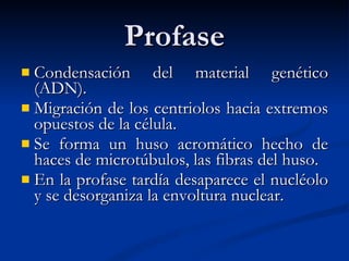 Profase Condensación del material genético (ADN). Migración de los centriolos hacia extremos opuestos de la célula.  Se forma un huso acromático hecho de haces de microtúbulos, las fibras del huso.  En la profase tardía desaparece el nucléolo y se desorganiza la envoltura nuclear. 