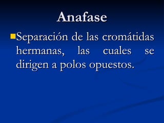 Anafase Separación de las cromátidas hermanas, las cuales se dirigen a polos opuestos. 