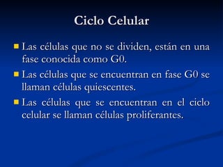 Ciclo Celular Las células que no se dividen, están en una fase conocida como G0. Las células que se encuentran en fase G0 se llaman células quiescentes. Las células que se encuentran en el ciclo celular se llaman células proliferantes. 