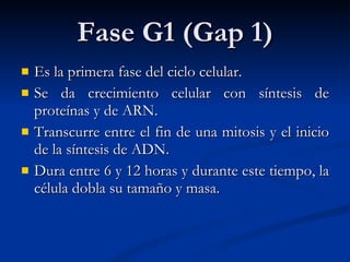 Fase G1 (Gap 1) Es la primera fase del ciclo celular. Se da crecimiento celular con síntesis de proteínas y de ARN.  Transcurre entre el fin de una mitosis y el inicio de la síntesis de ADN.  Dura entre 6 y 12 horas y durante este tiempo, la célula dobla su tamaño y masa. 