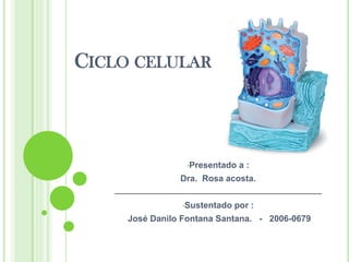Ciclo celular ,[object Object],Dra.  Rosa acosta. ,[object Object], José Danilo Fontana Santana.   -   2006-0679 