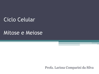 Ciclo Celular

Mitose e Meiose




                  Profa. Larissa Comparini da Silva
 