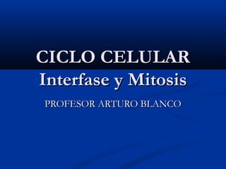 CICLO CELULAR
Interfase y Mitosis
 PROFESOR ARTURO BLANCO
 