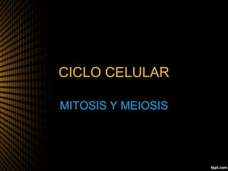 CICLO CELULAR
     TITLE
MITOSIS Y MEIOSIS
 