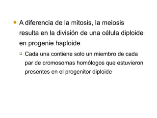    A diferencia de la mitosis, la meiosis
    resulta en la división de una célula diploide
    en progenie haploide
       Cada una contiene solo un miembro de cada
        par de cromosomas homólogos que estuvieron
        presentes en el progenitor diploide
 