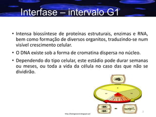 Interfase – intervalo G1
• Intensa biossíntese de proteínas estruturais, enzimas e RNA,
bem como formação de diversos organitos, traduzindo-se num
visível crescimento celular.
• O DNA existe sob a forma de cromatina dispersa no núcleo.
• Dependendo do tipo celular, este estádio pode durar semanas
ou meses, ou toda a vida da célula no caso das que não se
dividirão.

http://biologianerd.blogspot.pt/

12

 