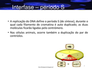 Interfase – período S
• A replicação do DNA define o período S (de síntese), durante o
qual cada filamento de cromatina é auto duplicado; as duas
moléculas ficarão ligadas pelo centrómero.
• Nas células animais, ocorre também a duplicação do par de
centríolos.

http://biologianerd.blogspot.pt/

13

 