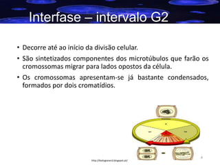 Interfase – intervalo G2
• Decorre até ao início da divisão celular.
• São sintetizados componentes dos microtúbulos que farão os
cromossomas migrar para lados opostos da célula.
• Os cromossomas apresentam-se já bastante condensados,
formados por dois cromatídios.

http://biologianerd.blogspot.pt/

14

 