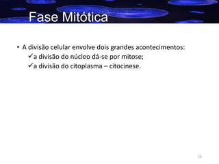 Fase Mitótica
• A divisão celular envolve dois grandes acontecimentos:
a divisão do núcleo dá-se por mitose;
a divisão do citoplasma – citocinese.

15

 