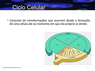 Ciclo Celular
• Conjunto de transformações que ocorrem desde a formação
de uma célula até ao momento em que ela própria se divide.

http://gracieteoliveira.pbworks.com/

2

 