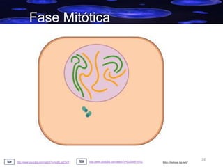 Fase Mitótica

http://www.youtube.com/watch?v=Ixd8LgsE5nY

http://www.youtube.com/watch?v=CU0Al6FHYiU

http://mitose.zip.net/

28

 