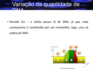 Variação da quantidade de
DNA
• Período G1 – a célula possui Q de DNA, já que cada
cromossoma é constituído por um cromatídio, logo, uma só
cadeia de DNA.

30
http://lu-biogeo10.blogspot.pt/

 