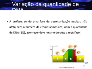 Variação da quantidade de
DNA
• A prófase, sendo uma fase de desorganização nuclear, não
afeta nem o número de cromossomas (2n) nem a quantidade
de DNA (2Q), acontecendo o mesmo durante a metáfase.

32
http://lu-biogeo10.blogspot.pt/

 
